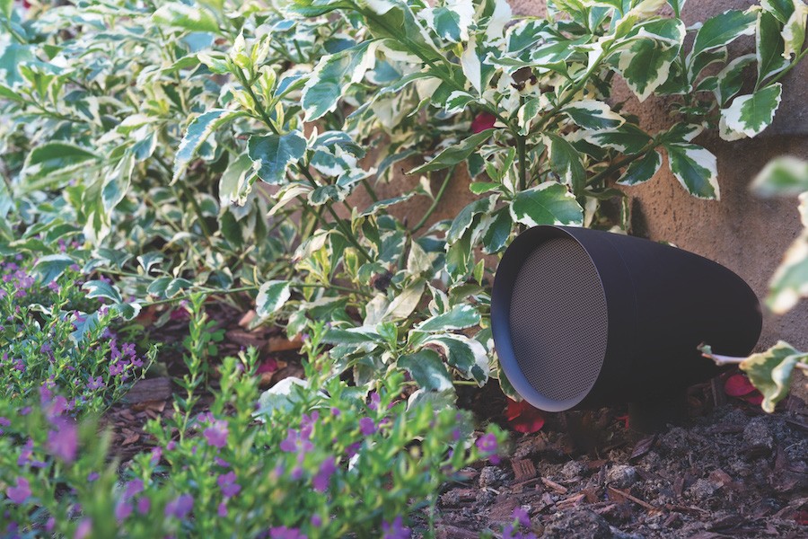 A Sonance outdoor speaker installed directly into a garden. 